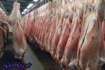 در تابستان، سندروم آنفلوآنزا"، ، خطر"، تب کریمه کنگو"، ایران روی کمربند "